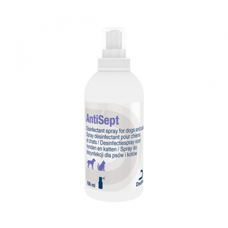 Antiseptice - Spray cu clorhexidina AntiSept 100 ml