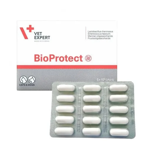 Afectiuni digestive - Supliment nutritiv pentru caini & pisici Bioprotect 60 caps