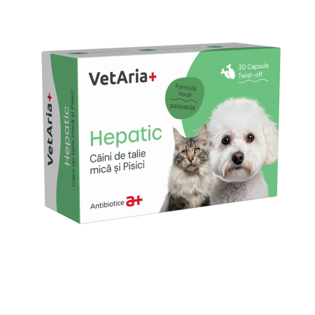 Suplimente & Vitamine - Suplimente VetAria+ Hepatic 30 capsule