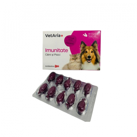 Suplimente & Vitamine - Suplimente VetAria+ Imunitate pentru caini & pisici 30 capsule