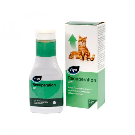 Suplimente & Vitamine - Viyo Recuperation Cat 150 ml
