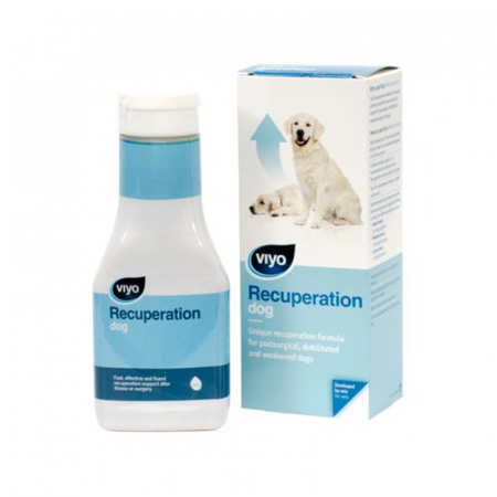 Farmacie - Viyo Recuperation Dog 150 ml
