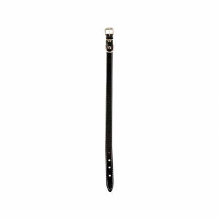 Zgarda din piele pentru caini Nr. 2 Petro 1,9 x 45 cm [1]