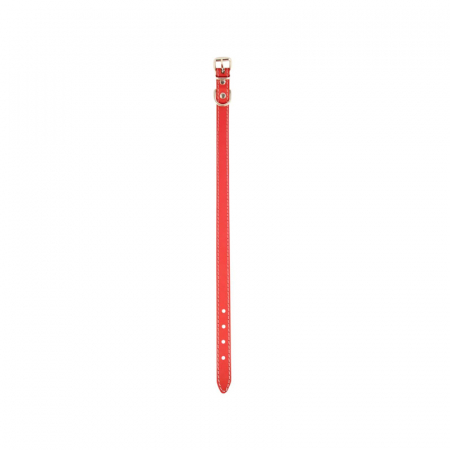 Zgarda din piele pentru caini Nr. 2 Petro 1,9 x 45 cm [1]