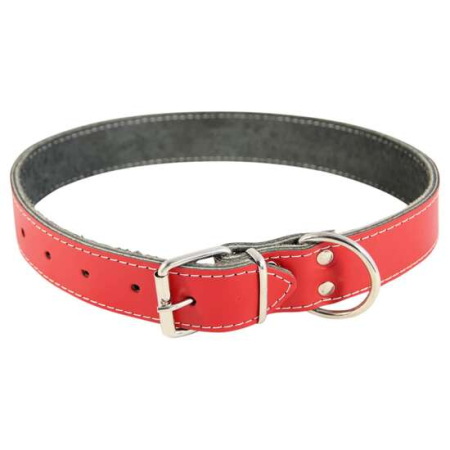 Caini - Zgarda din piele pentru caini Nr. 6 Petro Rosie 4 x 75 cm