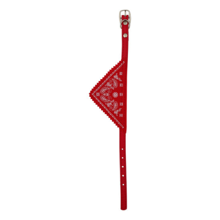 Caini - Zgarda pentru caini & pisici Petro Bandana 1 x 30 cm