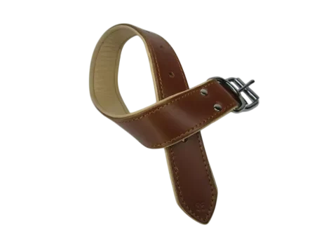 Zgarzi , lese , hamuri caini - Zgarda pentru caini Street Side Duo 1,2 cm x 36 cm