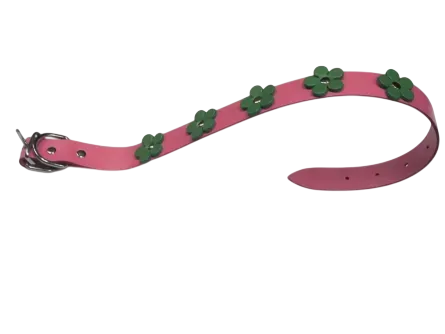 Accesorii caini - Zgarda pentru caini Streetside Roz cu floricele 10 mm x 29 cm