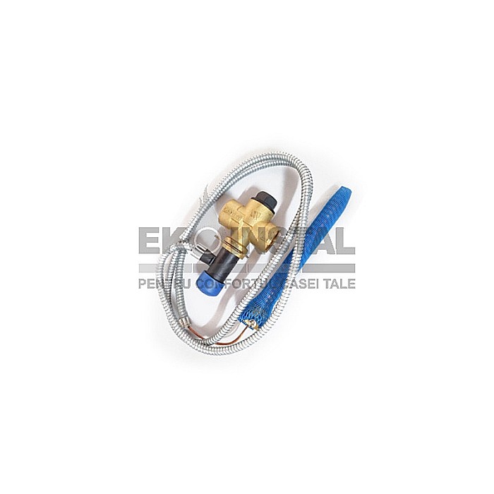 SUPAPA TERMICA DE DESCARCARE STS 20 3/4 10 BAR 0232620 WATTS [2]
