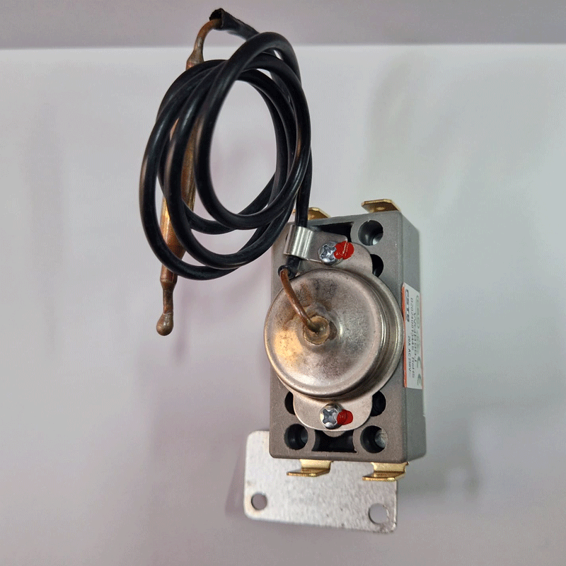 TERMOSTAT DE SIGURANTA EIKA BOILER DRAZICE 6541907 81580007 [3]