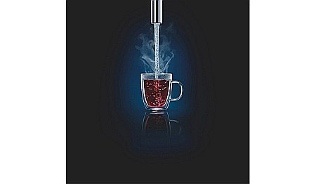 BATERIE BUCATARIE SI BOILER MARIMEA L GROHE RED DUO 30079001 [10]