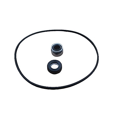 Piese Pompe si Hidrofoare - Kit etansare mecanica cu o-ring pentru pompa Jet 102 DP 102 D.13 mm