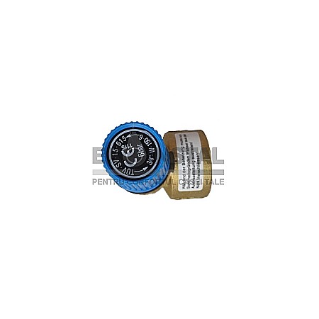 SUPAPA SIGURANTA 3/4X1 I-I 6 BAR 0217206 WATTS [2]