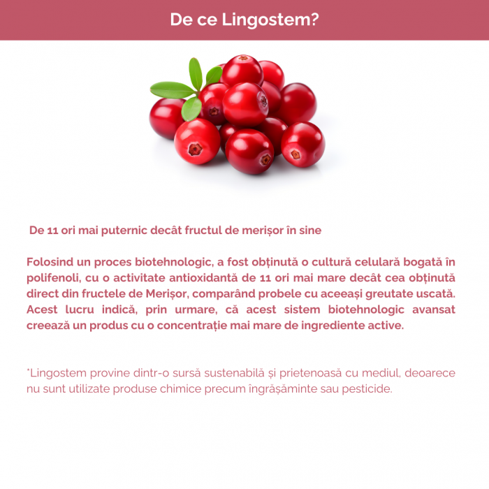Mist antioxidant 100ml [5]