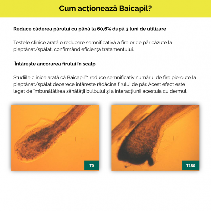 Pachet promotional anticadere Capilforte 2+1 GRATIS [5]