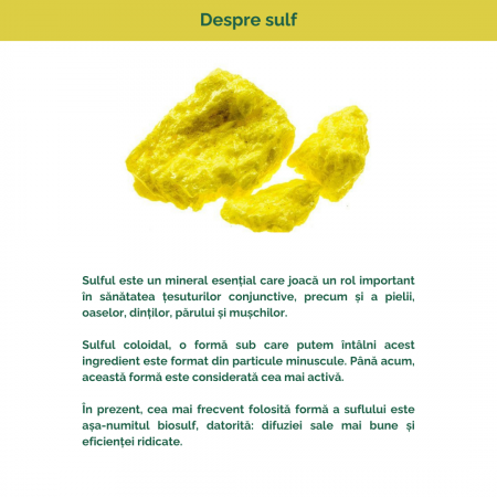 Crema cu 2% Biosulf 100ml [2]