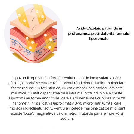 Crema cu 5% complex lipozomal de Acid Azelaic si 5% Niacinamida 50ml [3]