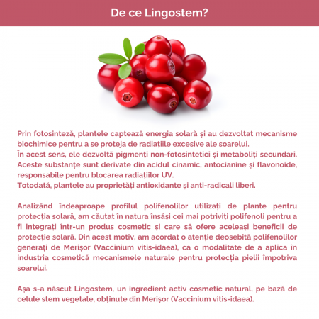 Mist antioxidant 100ml [2]