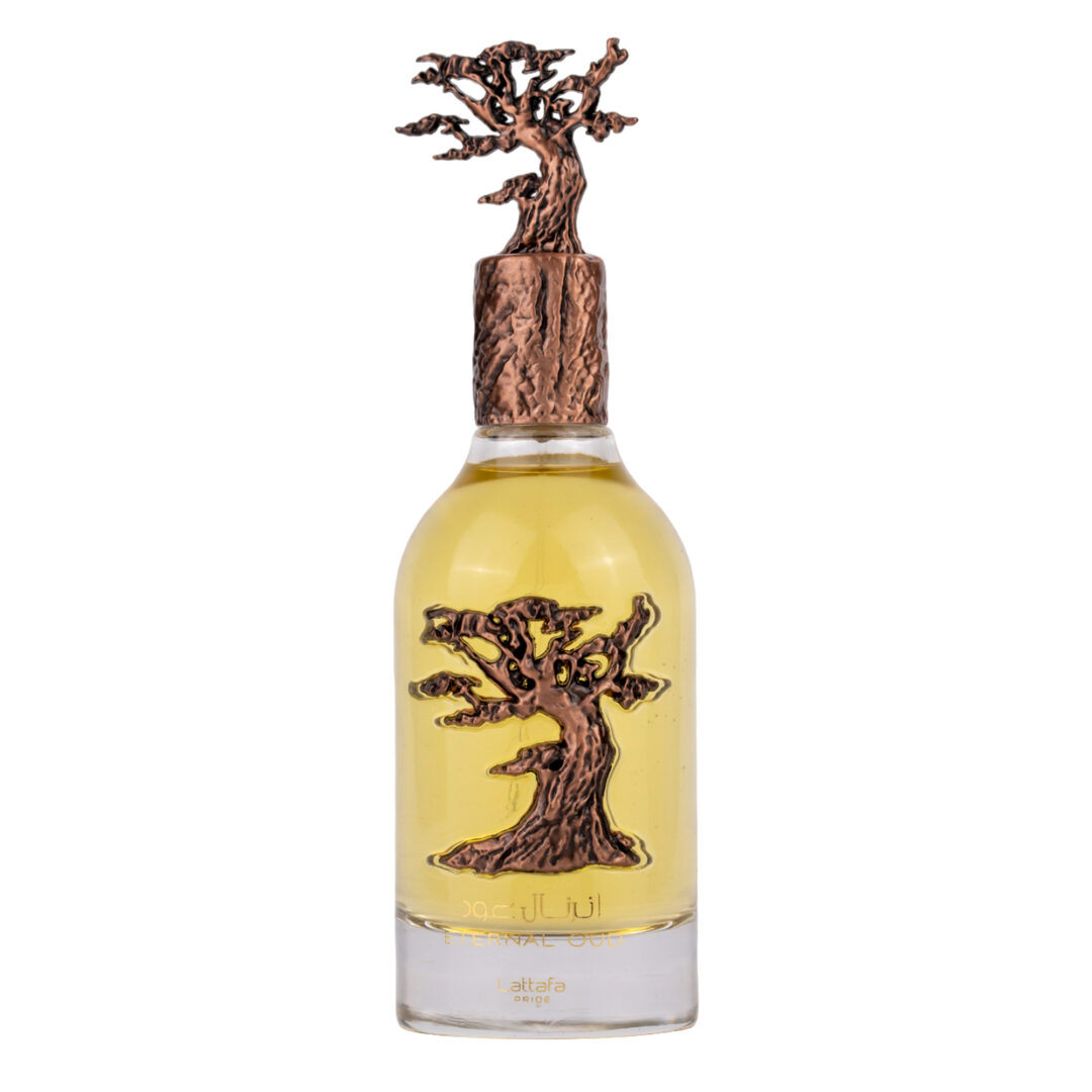 Apa de parfum Eternal Oud, Lattafa, Unisex - 100 ml - inspirat din Grand Soir M.F.K. [3]
