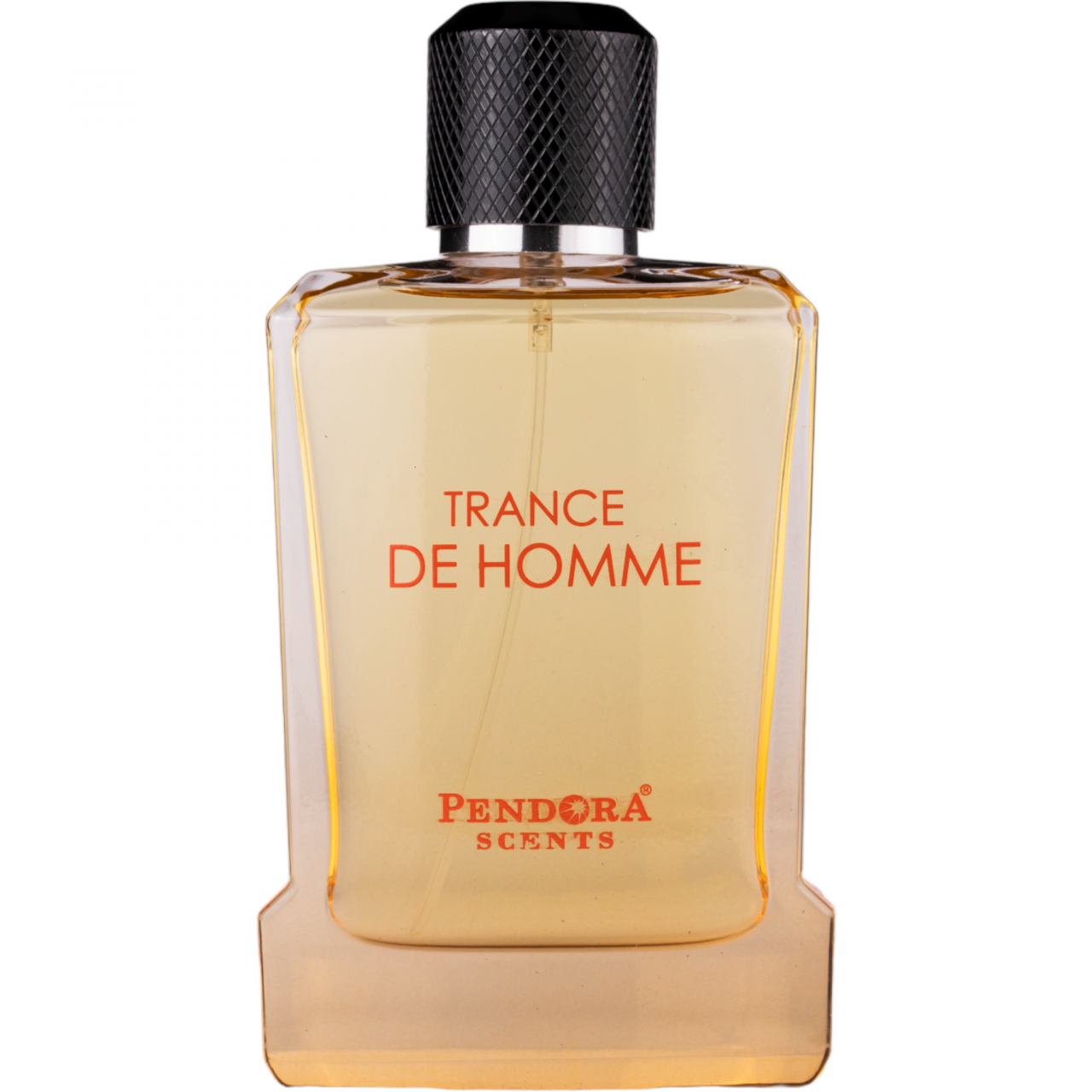 Apa de parfum Trance de Homme, Pendora Scents, Barbati - 100 ml - inspirat din Terre D Hermes