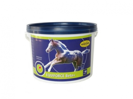 HRANA CAI Sportivi - Havens Equiforce 3kg  Beta +