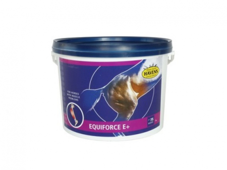 HRANA CAI Sportivi - Havens Equiforce 3kg  E +