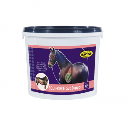 HRANA CAI Sportivi - Havens Equiforce 3kg  Gut Support