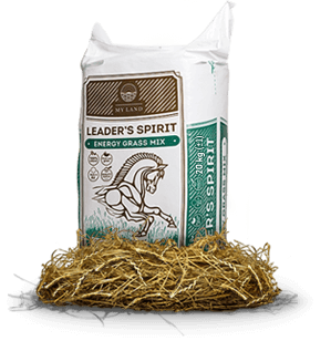 HRANA CAI Sportivi - My land - Fân pentru cai "Energy mix" 25kg