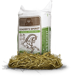 HRANA CAI Sportivi - My land Fân pentru cai "Special mix" 25kg