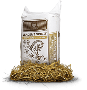 HRANA CAI Sportivi - My land - Fân pentru cai "Universal mix" 25kg