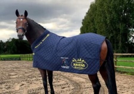Materiale auxiliare pentru cai sportivi - Pătură căptușită HAVENS „CHIO Aachen”