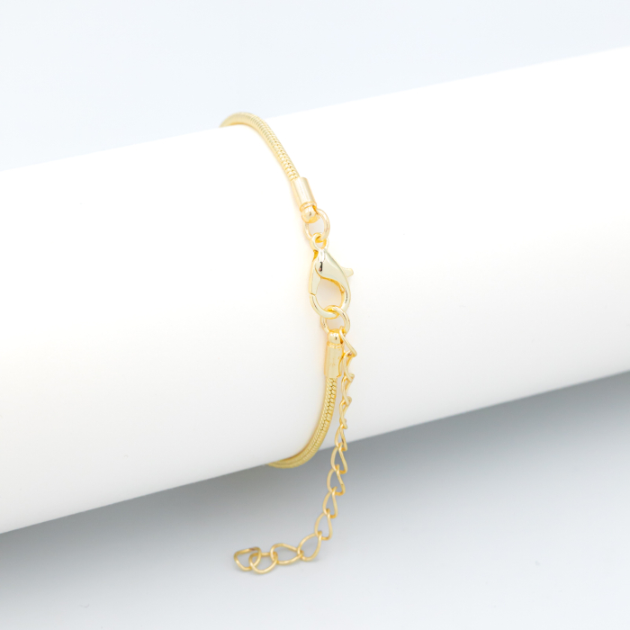 Brățară Aurie Tip Pandora Cu Charmuri Shining Star [3]