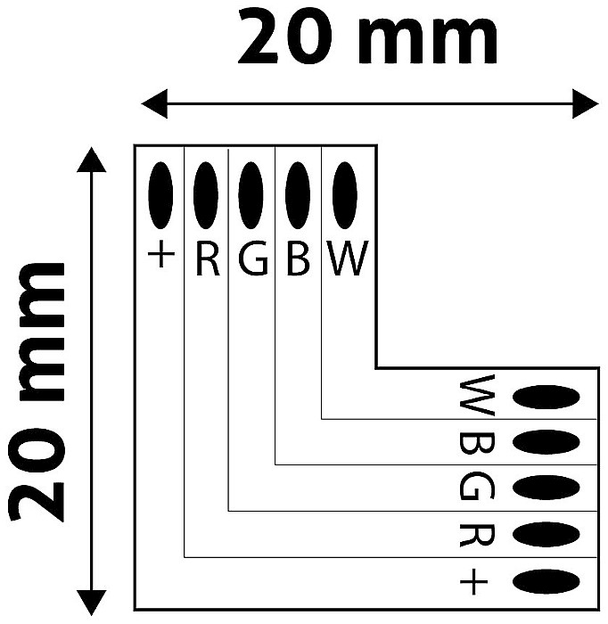 Banda LED 12V RGB+W  L - Conector [1]
