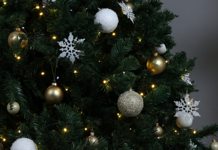 Ghirlanda luminoasa de Craciun 10m IP44 [1]