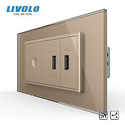 Intrerupator tactil simplu cap scara / cruce control telecomanda RF + priza dubla USB, 4M, cu rama sticla auriu [1]