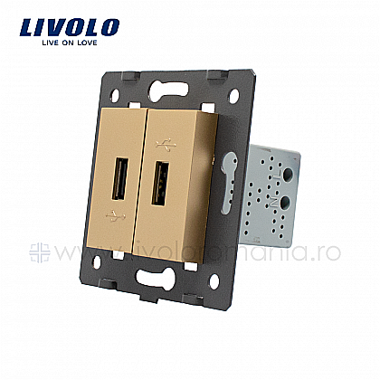 Modul Priză dublă USB auriu [1]