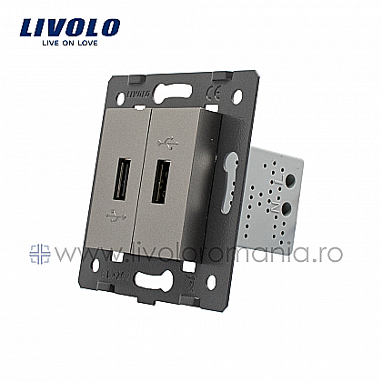 Modul Priză dublă USB gri [1]