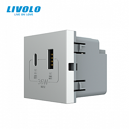 Modul priza dubla USB + USB tip C gri [1]