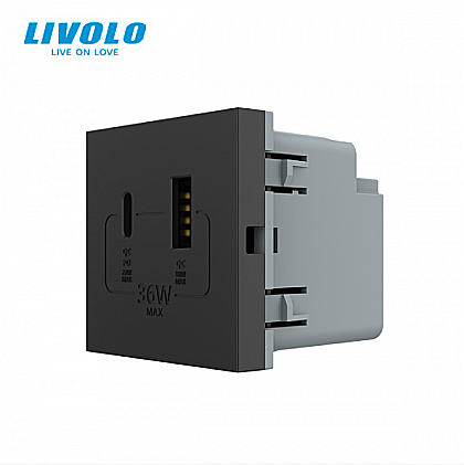 Modul priza dubla USB + USB tip C negru [1]