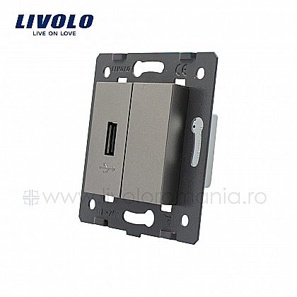 Modul Priză simplă USB gri [1]