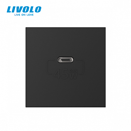 Modul priza simpla USB tip C negru [1]