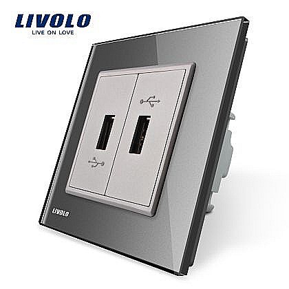 Priză dublă USB gri [1]