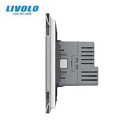 Priza simpla Schuko + slot USB Tip-C, Standard German 2M, cu rama sticla auriu [2]