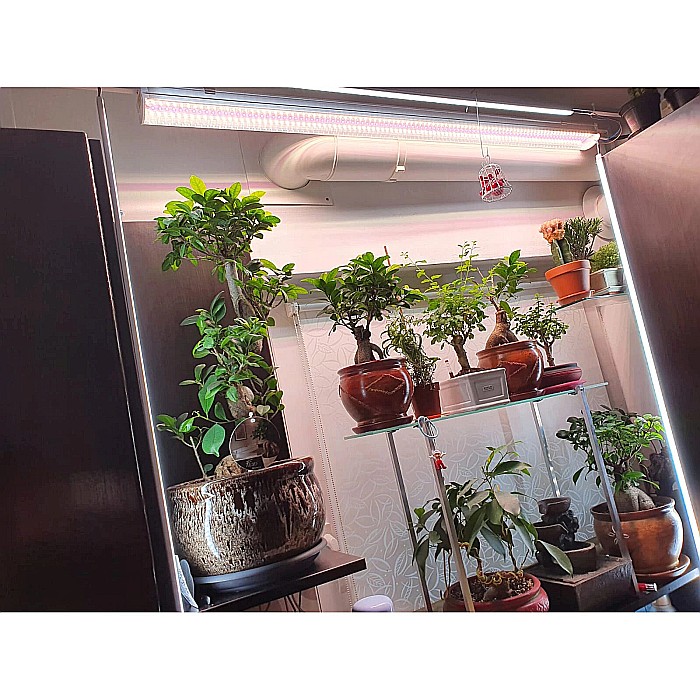 Tub LED T20 Fito Full Spectrum+Sunlight CRI97, 54W/1200mm pentru cresterea plantelor, LED Market [4]