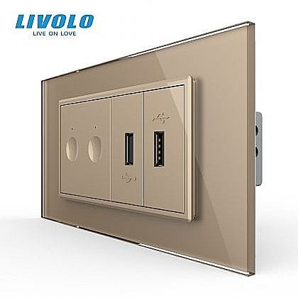 Prize+intrerupatoare modulare Livolo - Intrerupator tactil dublu + priza dubla USB, 4M, cu rama sticla auriu