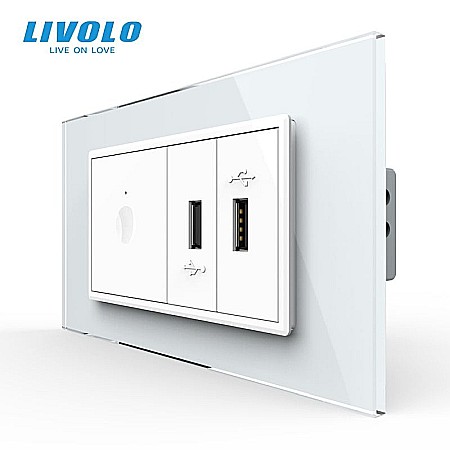 Livolo modular - Intrerupator tactil simplu + priza dubla USB, 4M, cu rama sticla alb