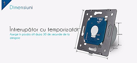 Modul Întrerupător simplu, cu temporizator, Generatie Noua [2]