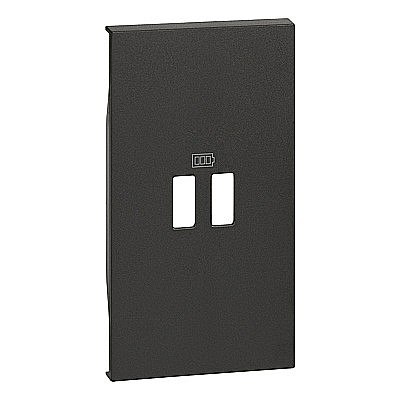 Btcino Living Now - Placa incarcator USB 2M Ng. Living Now