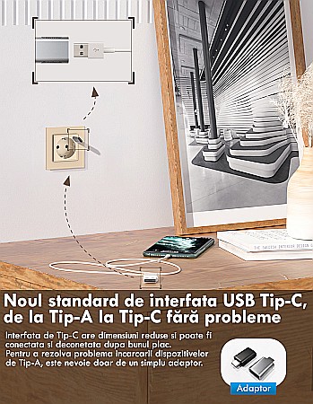 Priza simpla Schuko + slot USB Tip-C, Standard German 2M, cu rama sticla auriu [7]