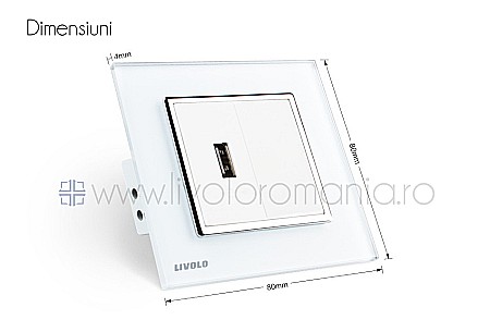 Priză simplă USB auriu [6]